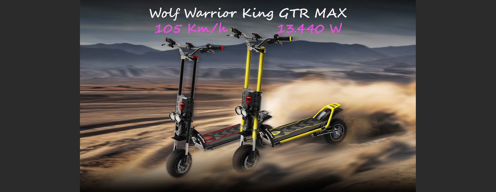 11) WW GTR  MAX